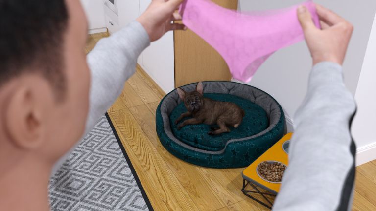 Stay True, Stay You Apk Android Download (5)