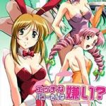 Do You Like Horny Bunnies Apk Android Download (8)