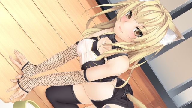 Animal Cafe Apk Android Download (3)