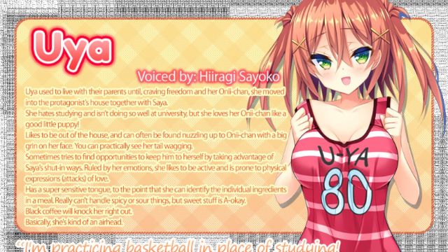 Chinkamo Twins Apk Android Adult Game Download (1)