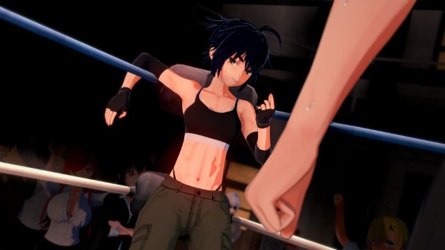 Commanding A Harem Adult Game Download (4)