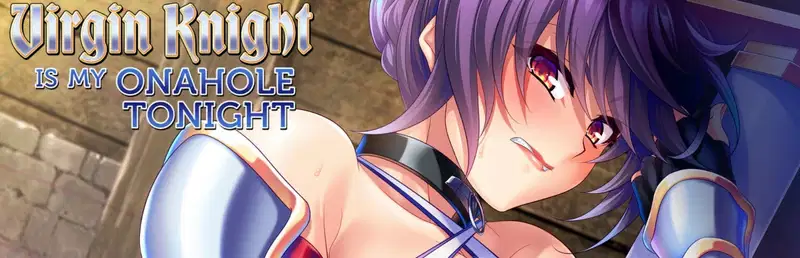 Virgin Knight is my Onahole Tonight [Final] Banner