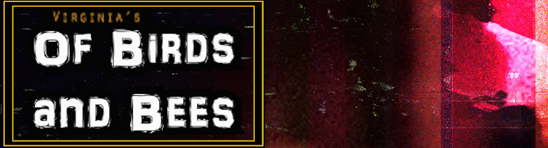 Of Birds and Bees v1.0 APK Android Adult Game Download