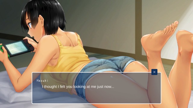 Summer Life In The Countryside Apk Android Hentai Game Download (3)