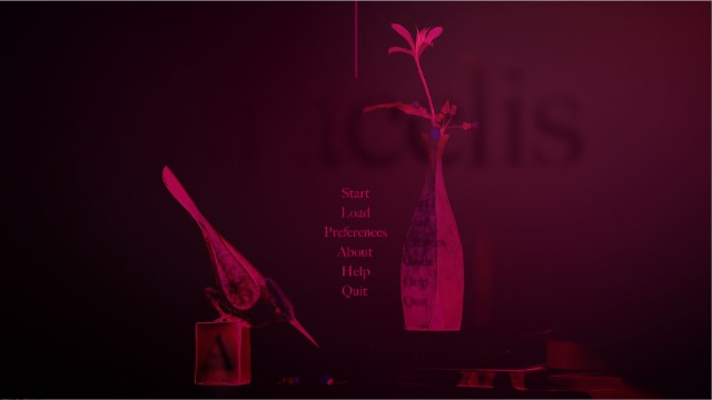 Aracelis Apk Android Adult Porn Game Latest Version Download (8)