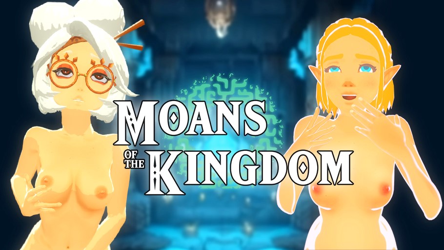 Zelda: Moans of the kingdom v1.0 Banner