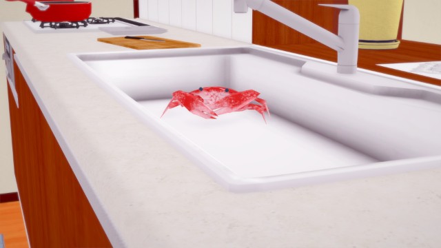 Two Sides Of The Same Coin (11)