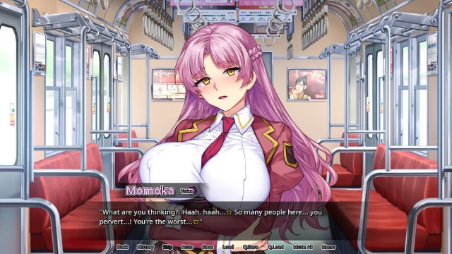 Secrets Of A Porn Shop Princess (3)