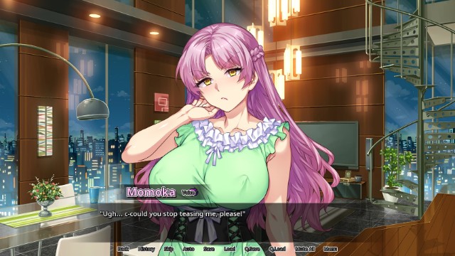 Secrets Of A Porn Shop Princess (5)