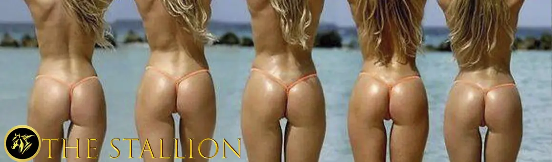 The Stallion v0.18 APK Android Adult Game Download
