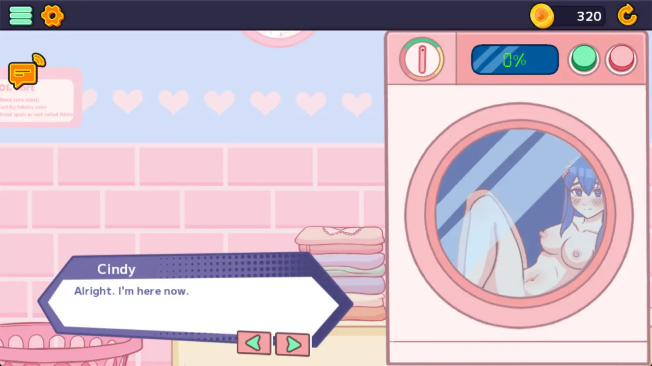 Naughty Laundry Redux
